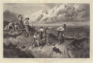 A Donkey that wouldn